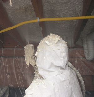Halifax Novascotia crawl space insulation